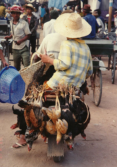 cambodia39.jpg