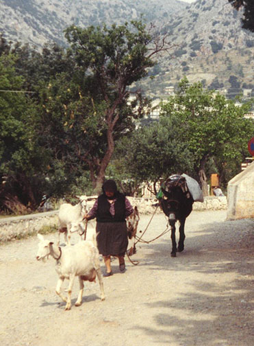 crete13.jpg (100896 bytes)