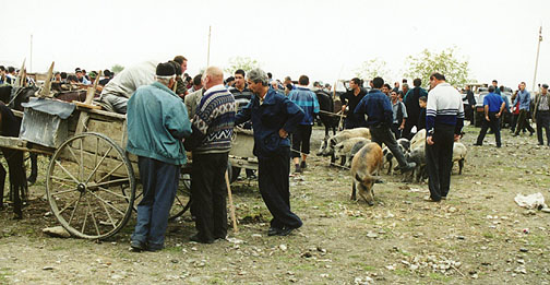 mid ga livestock auction