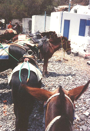 santorini07.jpg (102857 bytes)