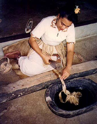 tonga1.jpg (70128 bytes)
