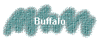 Buffalo