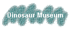 Dinosaur Museum