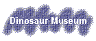 Dinosaur Museum