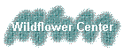 Wildflower Center