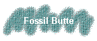 Fossil Butte