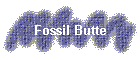 Fossil Butte