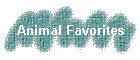 Animal Favorites