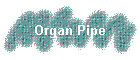 Organ Pipe