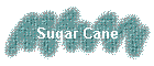 Sugar Cane