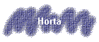 Horta