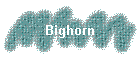 Bighorn