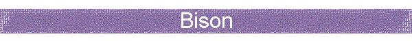 Bison