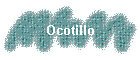 Ocotillo