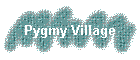 Pygmy Village