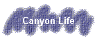 Canyon Life