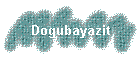 Dogubayazit