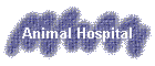 Animal Hospital