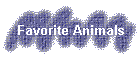 Favorite Animals
