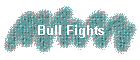 Bull Fights