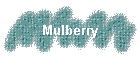 Mulberry