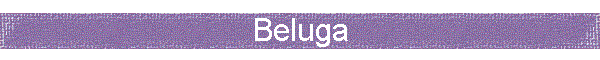 Beluga