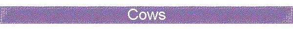 Cows