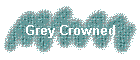 Grey Crowned