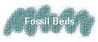 Fossil Beds