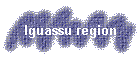 Iguassu region