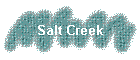 Salt Creek