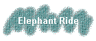 Elephant Ride