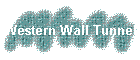 Western Wall Tunnel