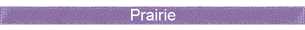 Prairie