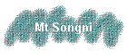 Mt Songni