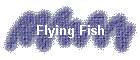 Flying Fish