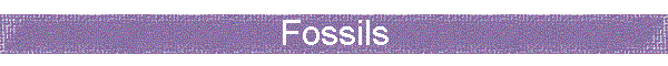 Fossils