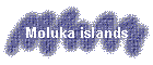 Moluka islands
