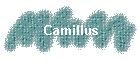 Camillus