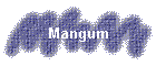 Mangum