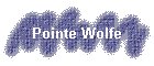 Pointe Wolfe
