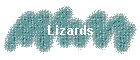 Lizards