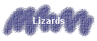 Lizards