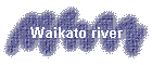 Waikato river