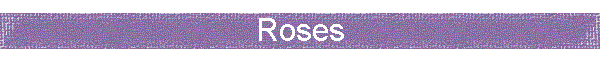 Roses