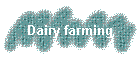 Dairy farming