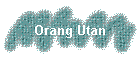 Orang Utan