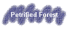 Petrified Forest