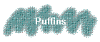 Puffins