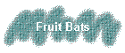 Fruit Bats